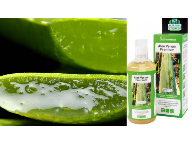 ALOE VERUM